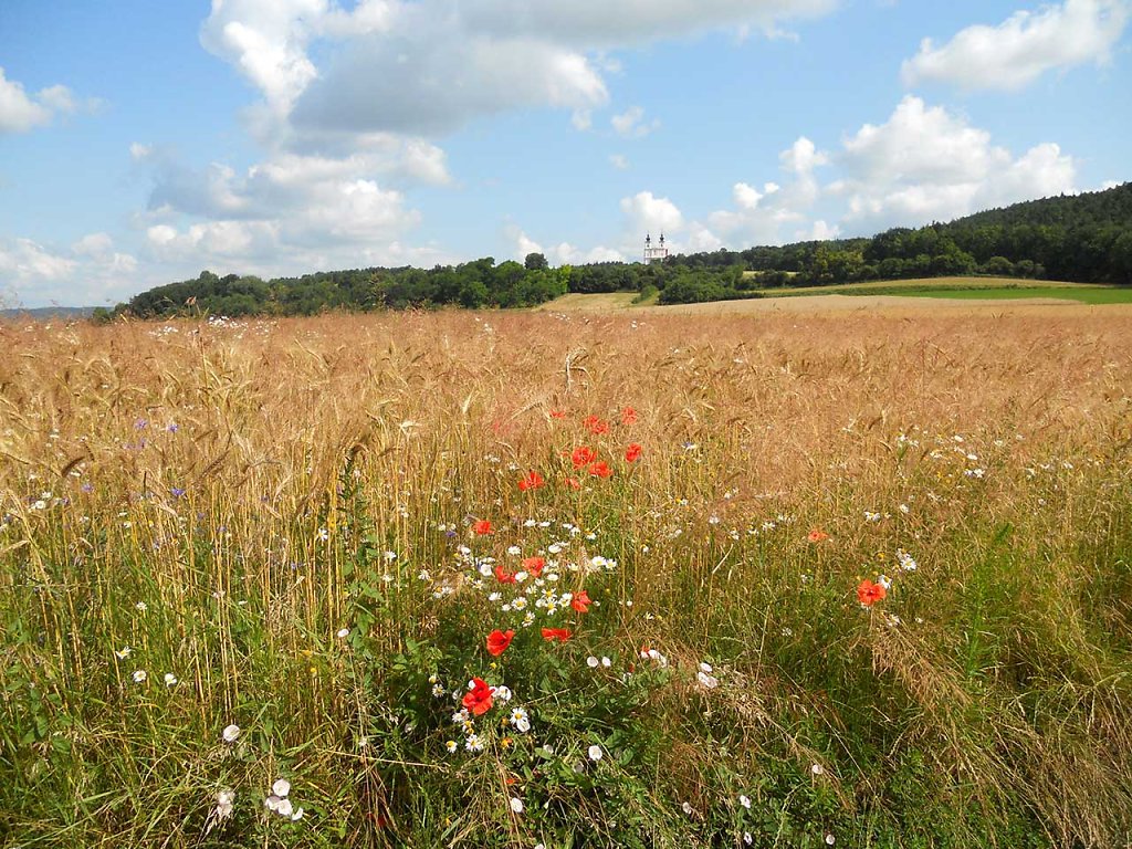 mariadreieichen-waldviertel.jpg