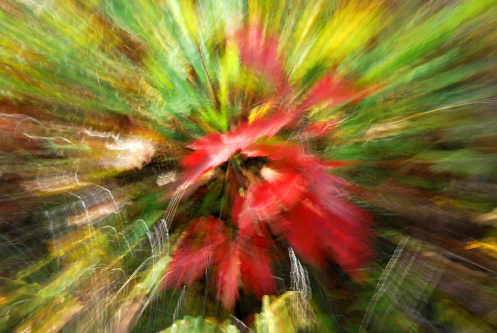 Experimente 4