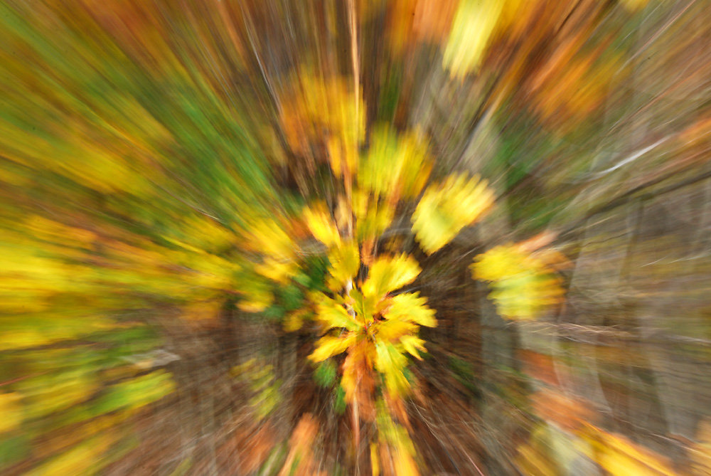 Experimente 5