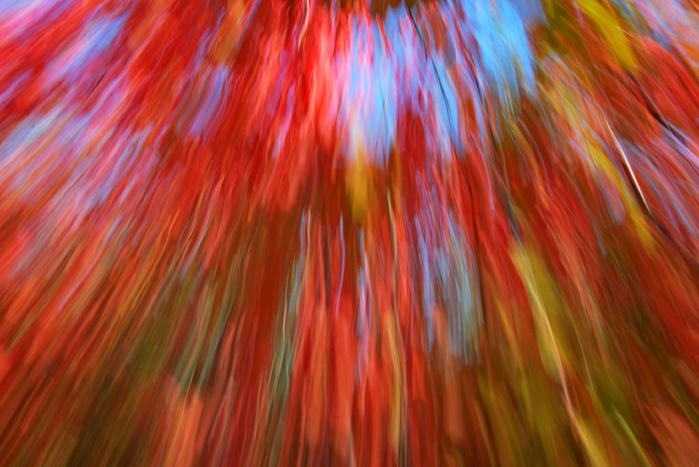 Experimente 10