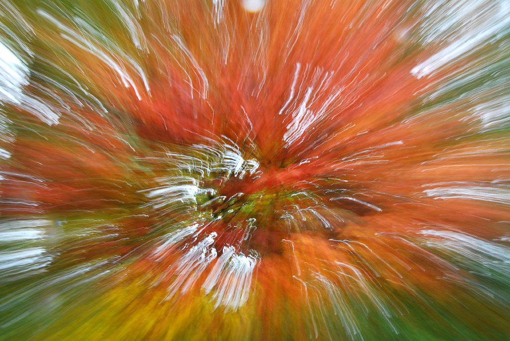 Experimente 11