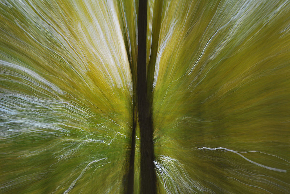 Experimente 38
