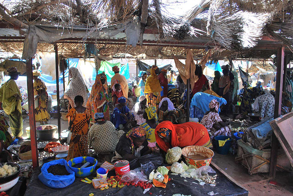mali1-elisabethneumann2009.jpg