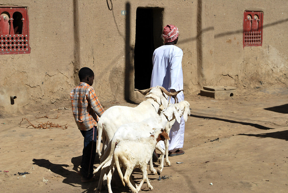 mali20-elisabethneumann.JPG