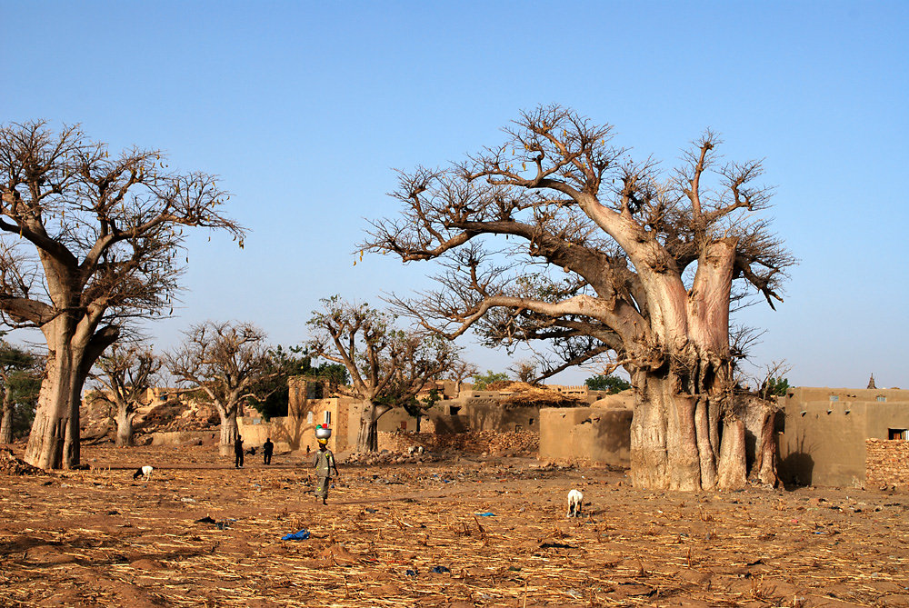 Mali31-elisabethneumann.JPG
